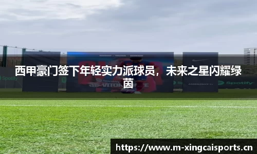 杏彩体育官网