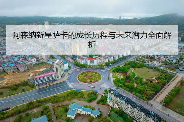 a-sen-na-xin-xing-sa-ka-de-cheng-zhang-li-cheng-yu-wei-lai-qian-li-quan-mian-jie-xi-2-428.jpg