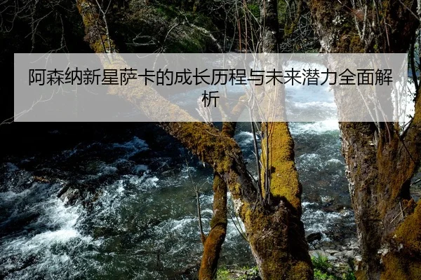阿森纳新星萨卡的成长历程与未来潜力全面解析